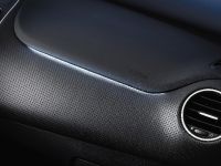 Fiat Punto Evo (2009)