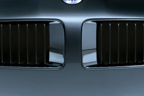 Fisker Karma Plug-in Hybrid (2010) - picture 8 of 31