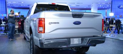 Ford F-150 Detroit (2014) - picture 7 of 14