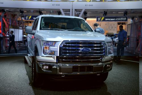 Ford F-150 Detroit (2014) - picture 1 of 14
