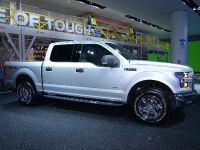 Ford F-150 Detroit (2014) - picture 3 of 14
