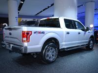 Ford F-150 Detroit (2014) - picture 5 of 14