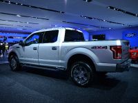 Ford F-150 Detroit (2014) - picture 6 of 14