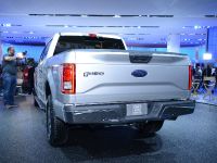 Ford F-150 Detroit (2014)