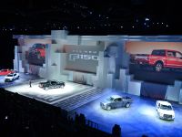 Ford F-150 Detroit (2014) - picture 13 of 14