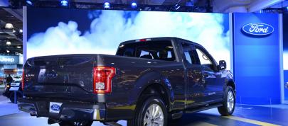 Ford F-150 New York (2014) - picture 4 of 5