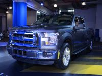 Ford F-150 New York (2014) - picture 2 of 5
