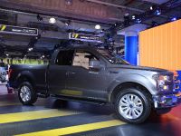 Ford F-150 New York (2014) - picture 3 of 5
