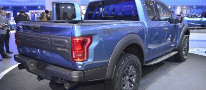 Ford F-150 Raptor Detroit (2015) - picture 7 of 11