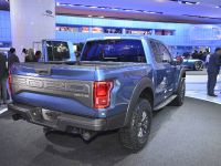 Ford F-150 Raptor Detroit (2015) - picture 6 of 11