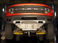 Ford F-150 SVT Raptor (2010) - picture 6 of 25