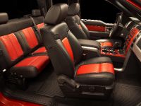 Ford F-150 SVT Raptor (2010)