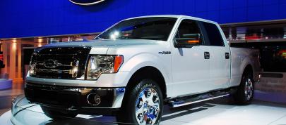Ford F150 Pick Up Detroit (2008) - picture 4 of 6