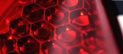 Ford Fiesta S2000 (2010) - picture 15 of 26