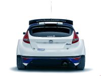 Ford Fiesta S2000 (2010)