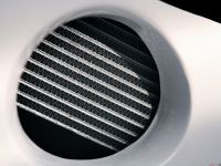 Ford Fiesta S2000 (2010)