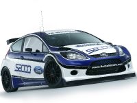 Ford Fiesta S2000 (2010)