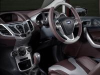 Ford Fiesta Titanium Individual (2010) - picture 5 of 6