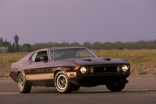 Ford Mustang (1973) - picture 1 of 3