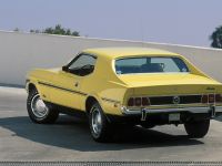 Ford Mustang (1973) - picture 2 of 3