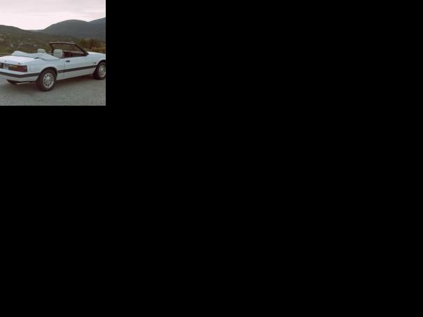 Ford Mustang 1985 (1985) - picture 1 of 1
