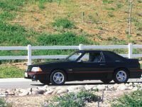 Ford Mustang (1987) - picture 1 of 2