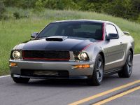 Ford Mustang AV8R (2009) - picture 1 of 16