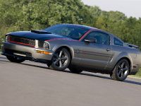 Ford Mustang AV8R (2009) - picture 2 of 16