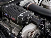 Ford Mustang AV8R (2009) - picture 14 of 16