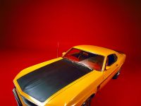 Ford Mustang Boss 302 (1969) - picture 3 of 3