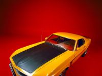 Ford Mustang Boss 302 (1969) - picture 2 of 3