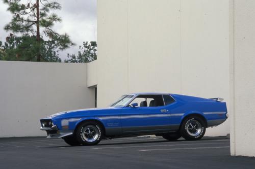 Ford Mustang Boss 351 (1971) - picture 1 of 2