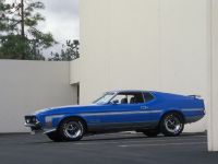 Ford Mustang Boss 351 (1971) - picture 1 of 2