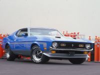Ford Mustang Boss 351 (1971) - picture 2 of 2