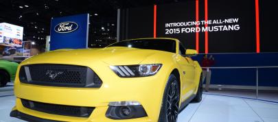 Ford Mustang Chicago (2014) - picture 4 of 6