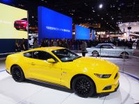Ford Mustang Chicago (2014)