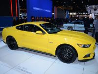 Ford Mustang Chicago (2014) - picture 2 of 6