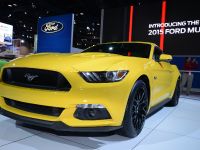 Ford Mustang Chicago (2014) - picture 3 of 6