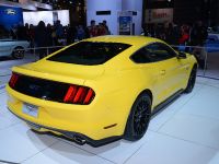 Ford Mustang Chicago (2014) - picture 5 of 6