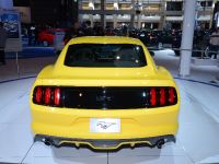 Ford Mustang Chicago (2014) - picture 6 of 6