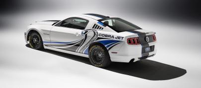 Ford Mustang Cobra Jet Twin-Turbo Concept (2013) - picture 12 of 23