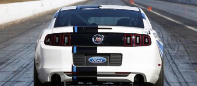 Ford Mustang Cobra Jet Twin-Turbo Concept (2013) - picture 15 of 23