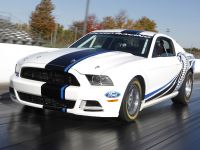 Ford Mustang Cobra Jet Twin-Turbo Concept (2013) - picture 5 of 23