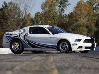 Ford Mustang Cobra Jet Twin-Turbo Concept (2013) - picture 8 of 23