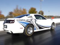 Ford Mustang Cobra Jet Twin-Turbo Concept (2013) - picture 13 of 23