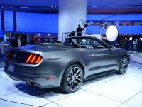 Ford Mustang Convertible Detroit 2014
