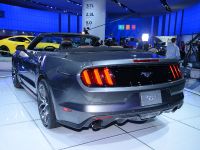 Ford Mustang Convertible Detroit (2014) - picture 5 of 6