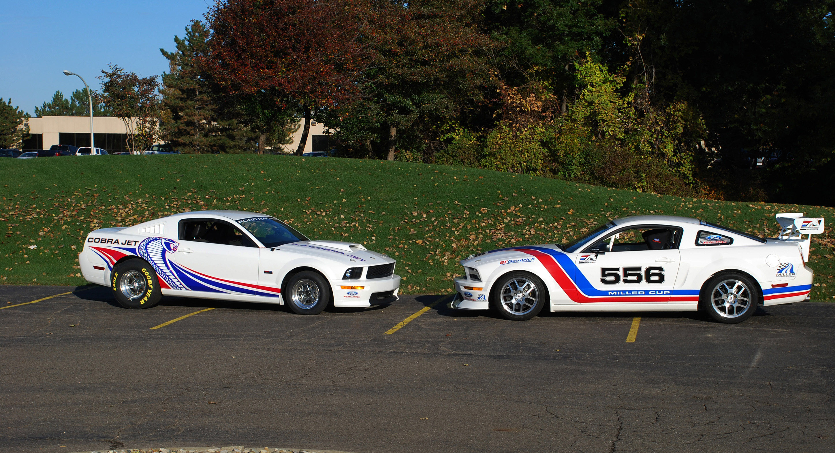 Cobra Jet Ford Mustang