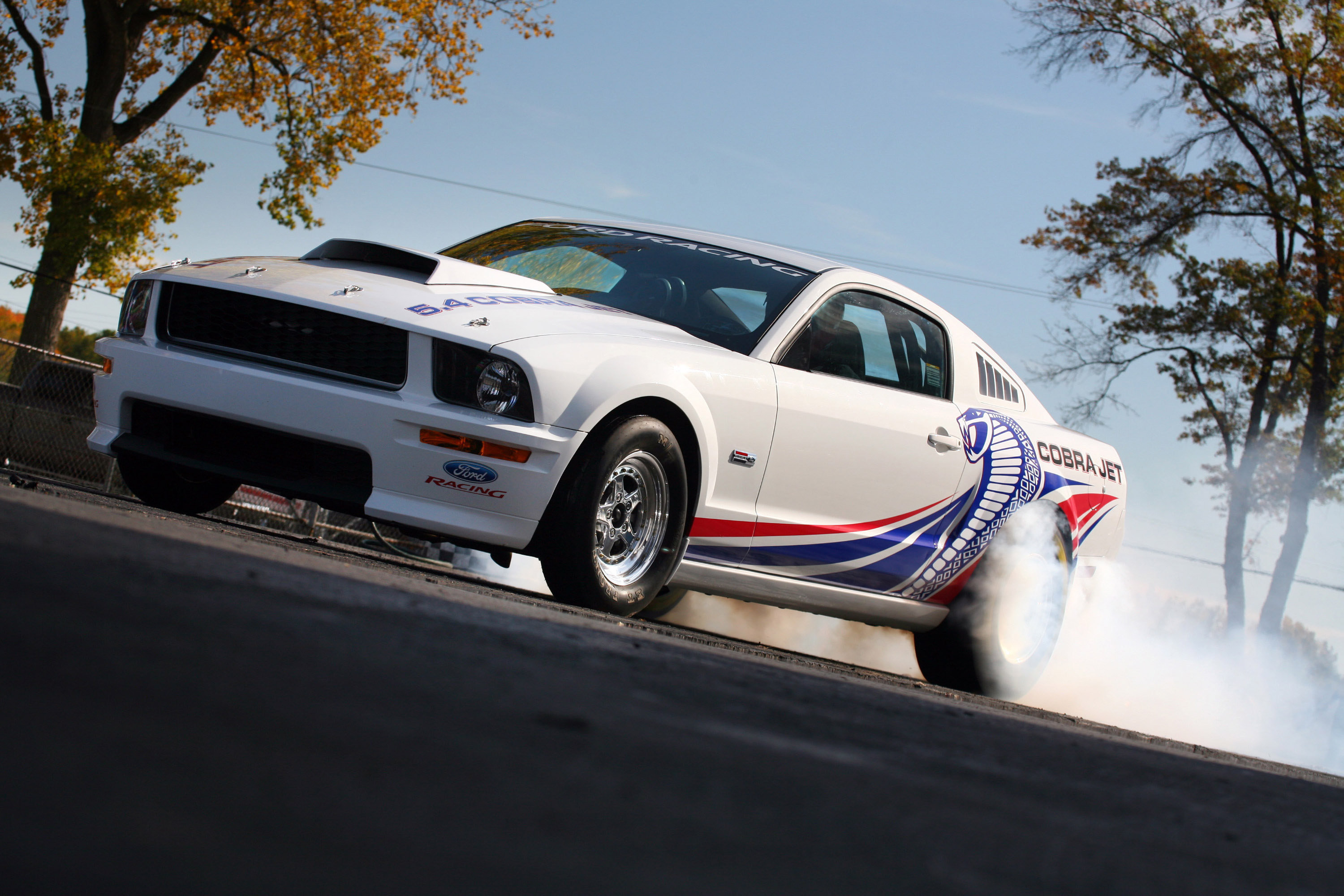 Cobra Jet Ford Mustang