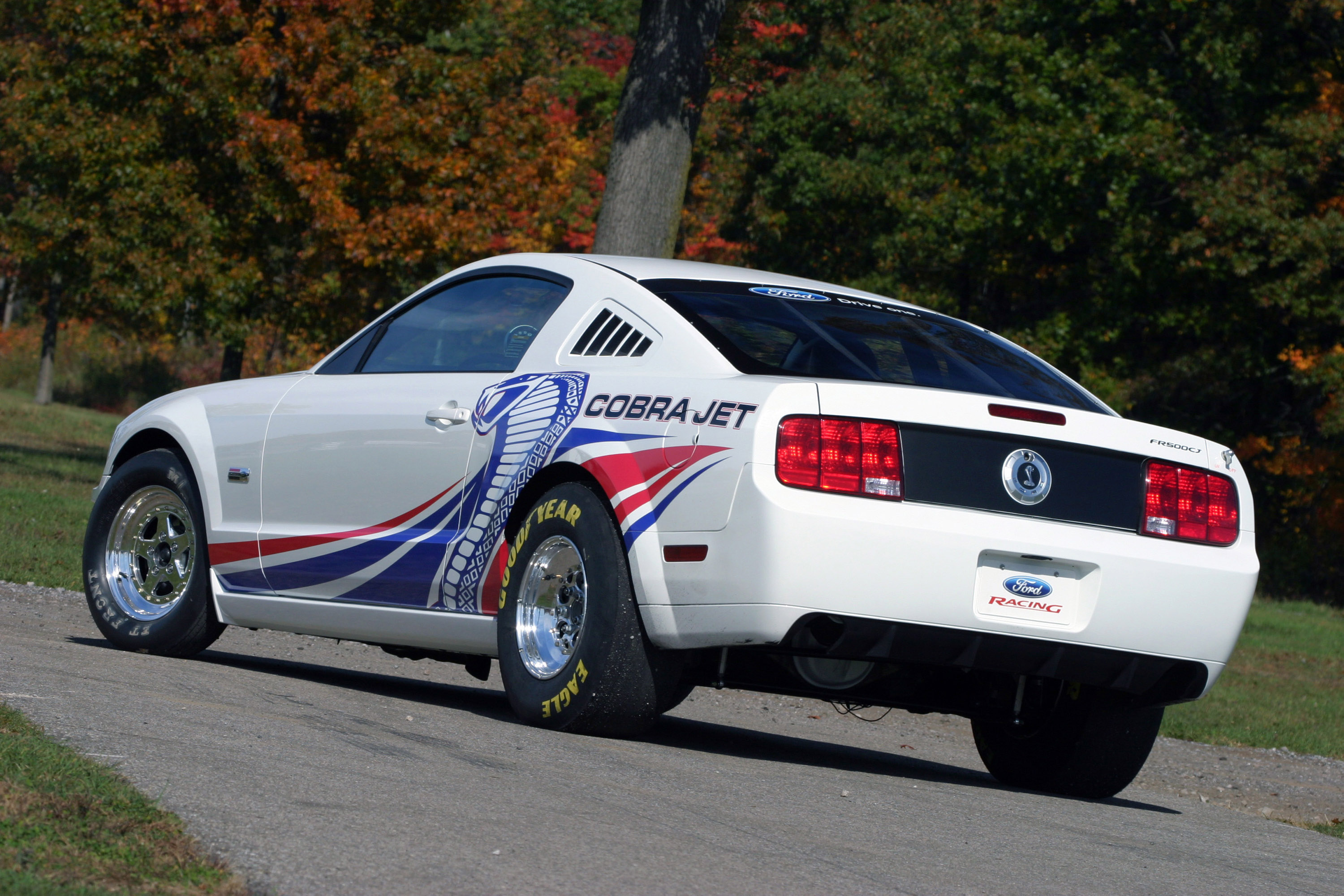 Cobra Jet Ford Mustang